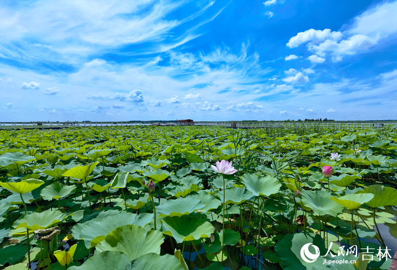 查干湖美景。人民網(wǎng)李洋攝