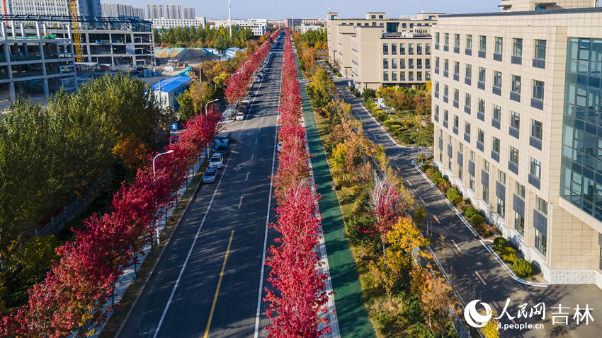 盛北小街街景。人民網(wǎng)記者 李成偉攝