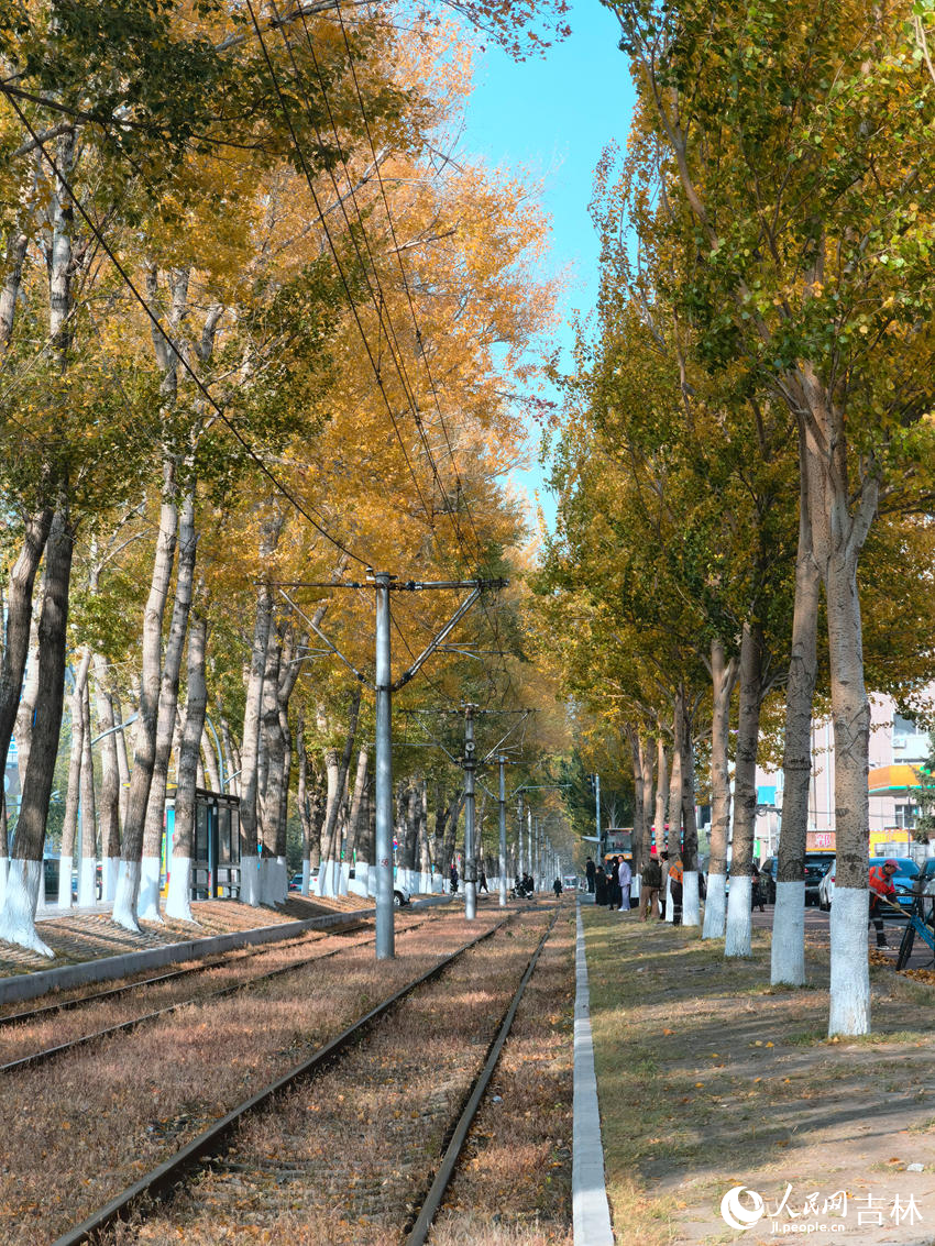 春城大街有軌電車沿線景觀。人民網(wǎng)記者 馬俊華攝