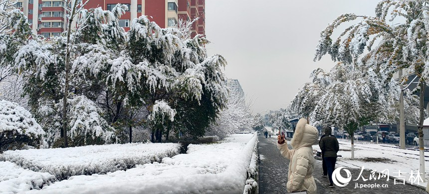 “邂逅”初雪 吉林省長(zhǎng)春市今冬第一場(chǎng)雪如約而至【4】