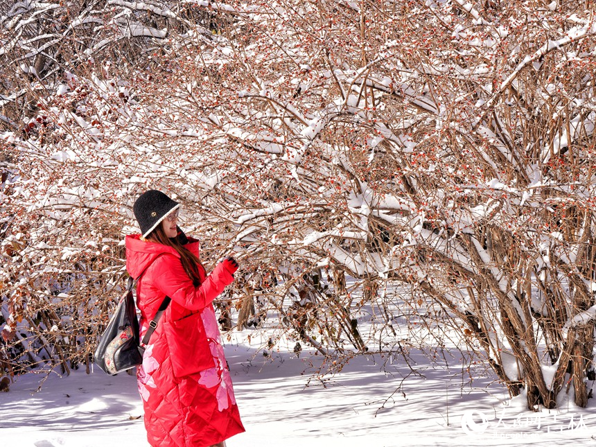 大雪過后，人們走進(jìn)公園欣賞美景。人民網(wǎng)記者 李洋攝