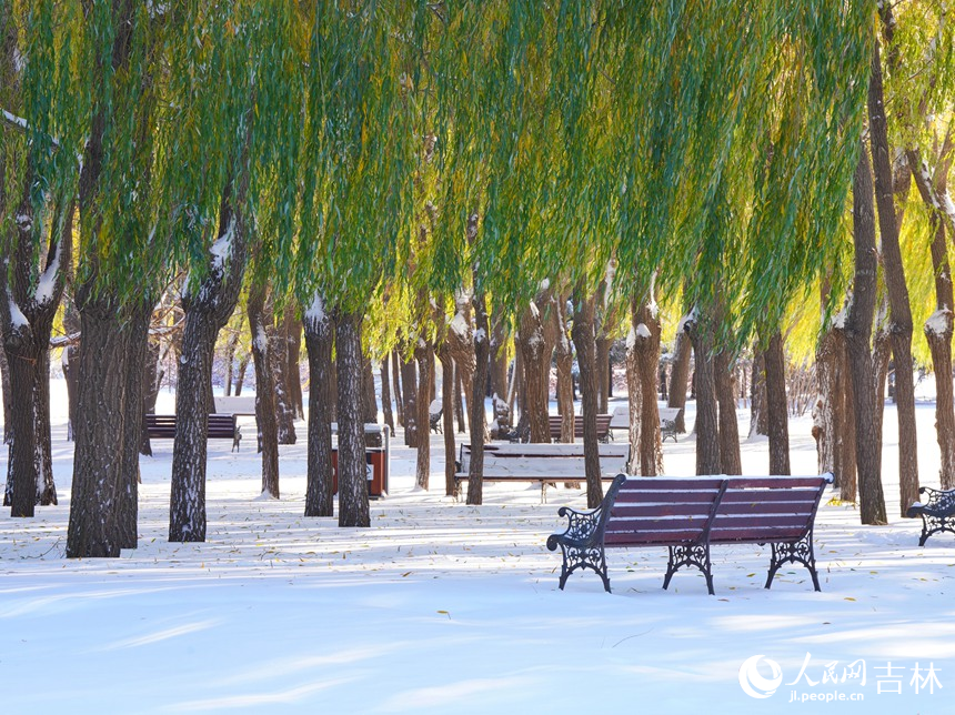 雪后長春，美景如畫。人民網(wǎng)記者 李洋攝