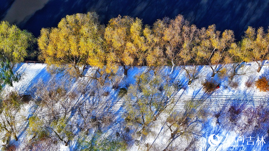 雪后長春，美景如畫。人民網(wǎng)記者 李成偉攝