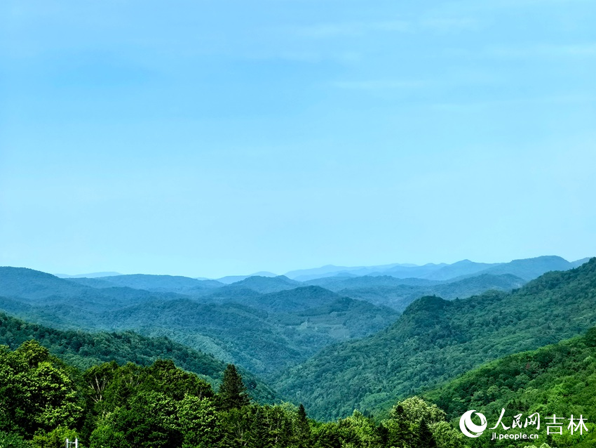 站在臨江市溪谷高山草原遠眺群山，層巒疊嶂。人民網(wǎng)記者 王海躍攝