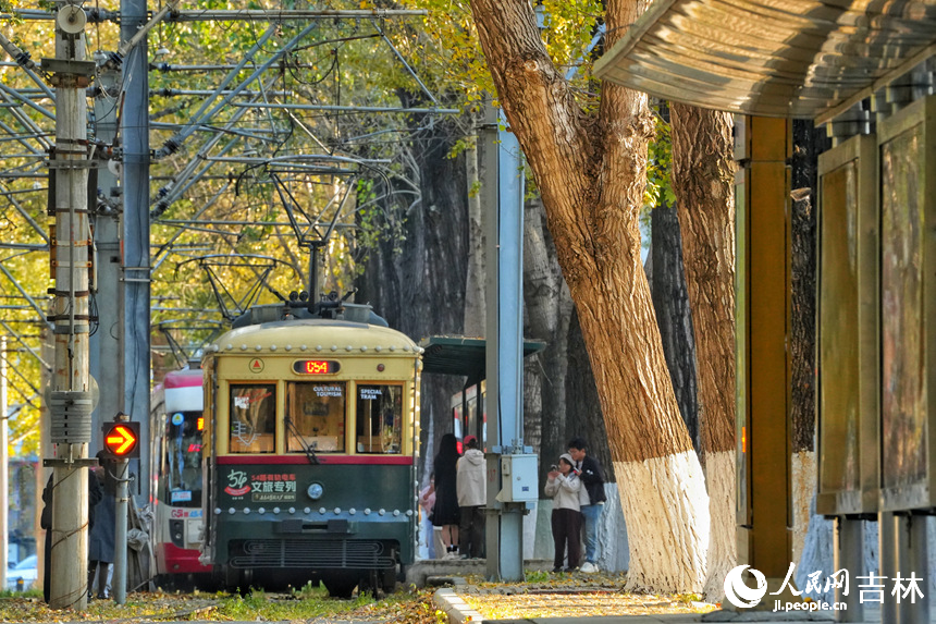 金秋時節(jié)，長春市54路有軌電車落葉景觀街區(qū)迎來最佳觀賞期。人民網(wǎng)記者 李洋攝