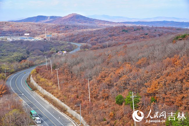 站在龍虎閣上遠(yuǎn)眺琿春美景。人民網(wǎng)記者 李洋攝